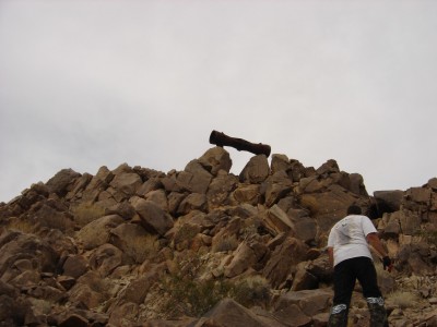 14939DSC02011-med (26K)